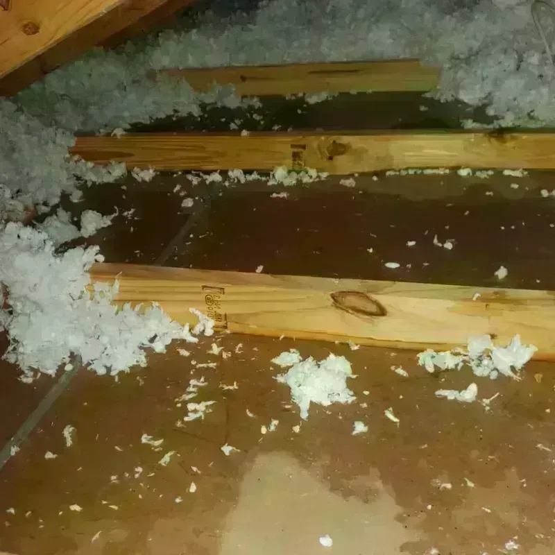 Attic Water Damage in Miami County, KS