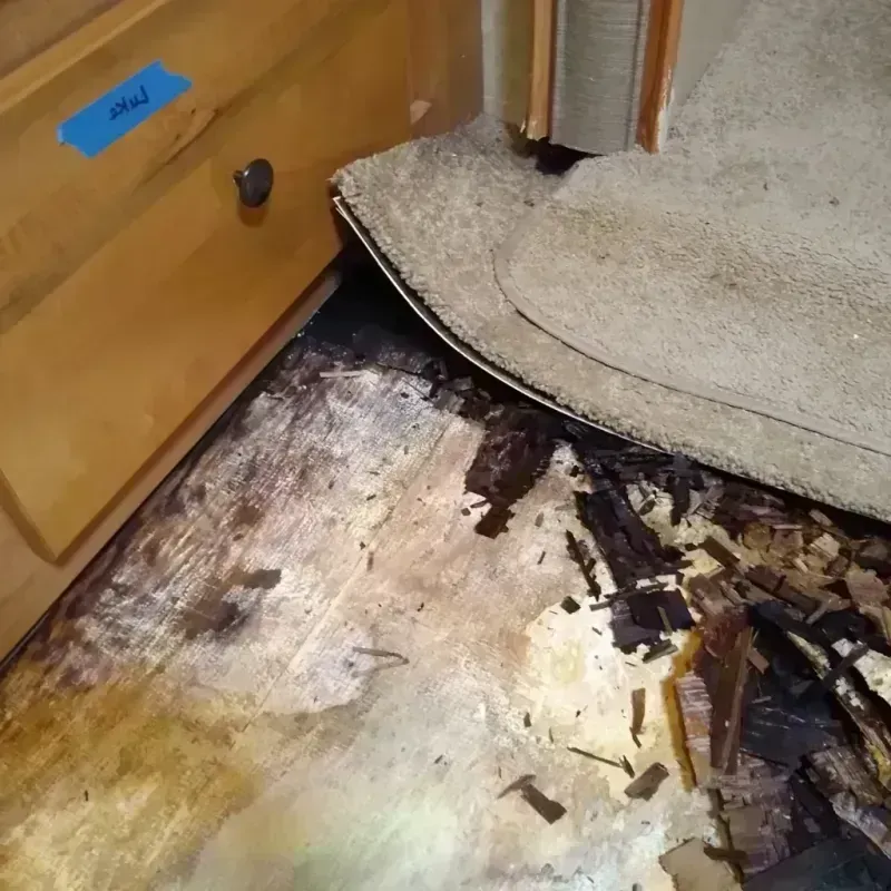 Wood Floor Water Damage in Miami County, KS